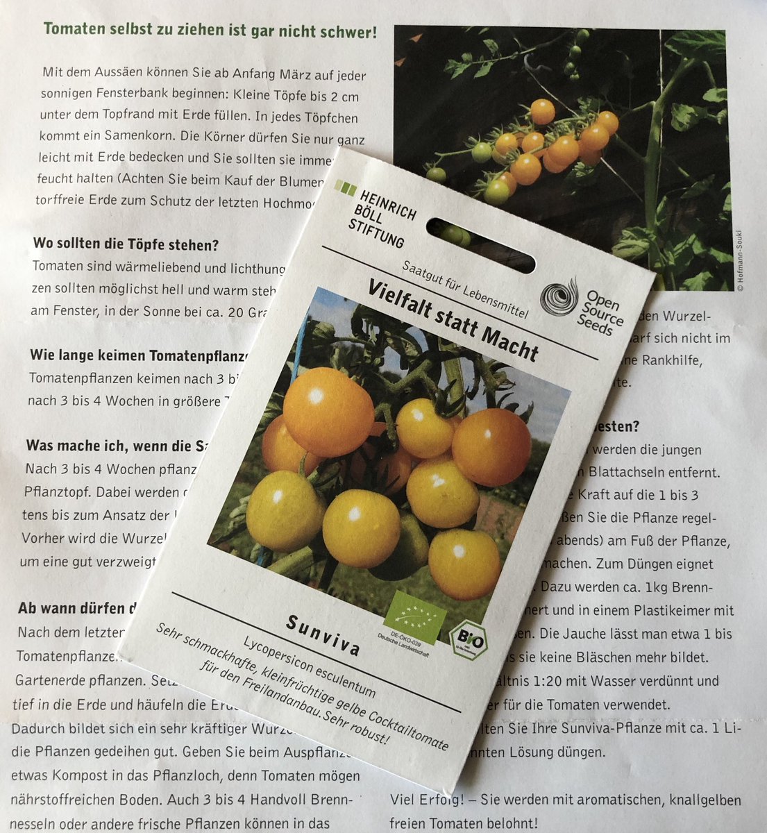 Kitchen_Garten's tweet image. @boell_stiftung Saatgut #sunviva #opensourceseeds #Tomaten ist gut angekommen Vielen Dank !