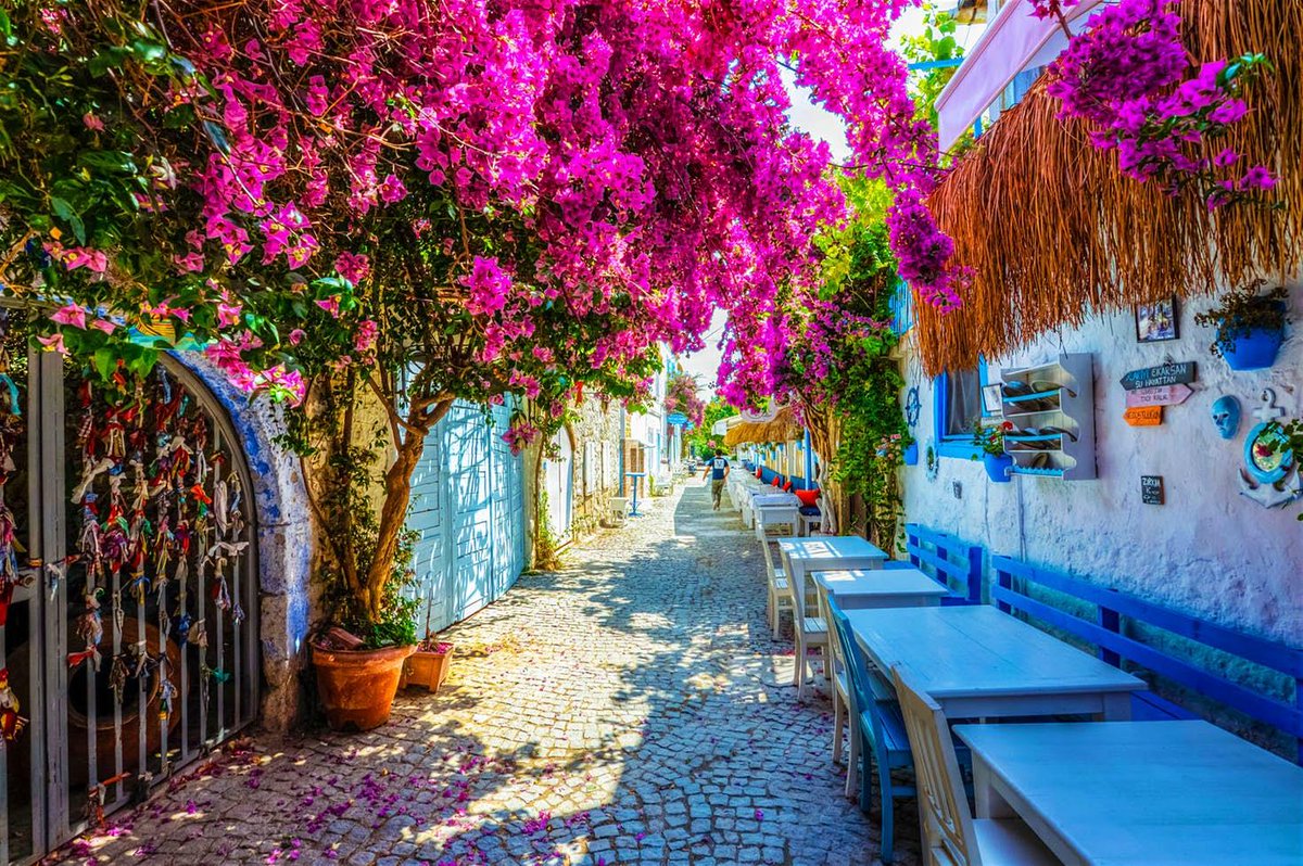 Lonely Planet (@lonelyplanet) on Twitter photo Urla's earthly delights: putting Turkish wine on the map lptravel.to/Rarveg #travel #Turkey #wine <a href="/TheTurkishLife/">Jennifer Hattam</a> Urla's earthly delights: putting Turkish wine on the map lptravel.to/Rarveg #travel #Turkey #wine <a href="/TheTurkishLife/">Jennifer Hattam</a>