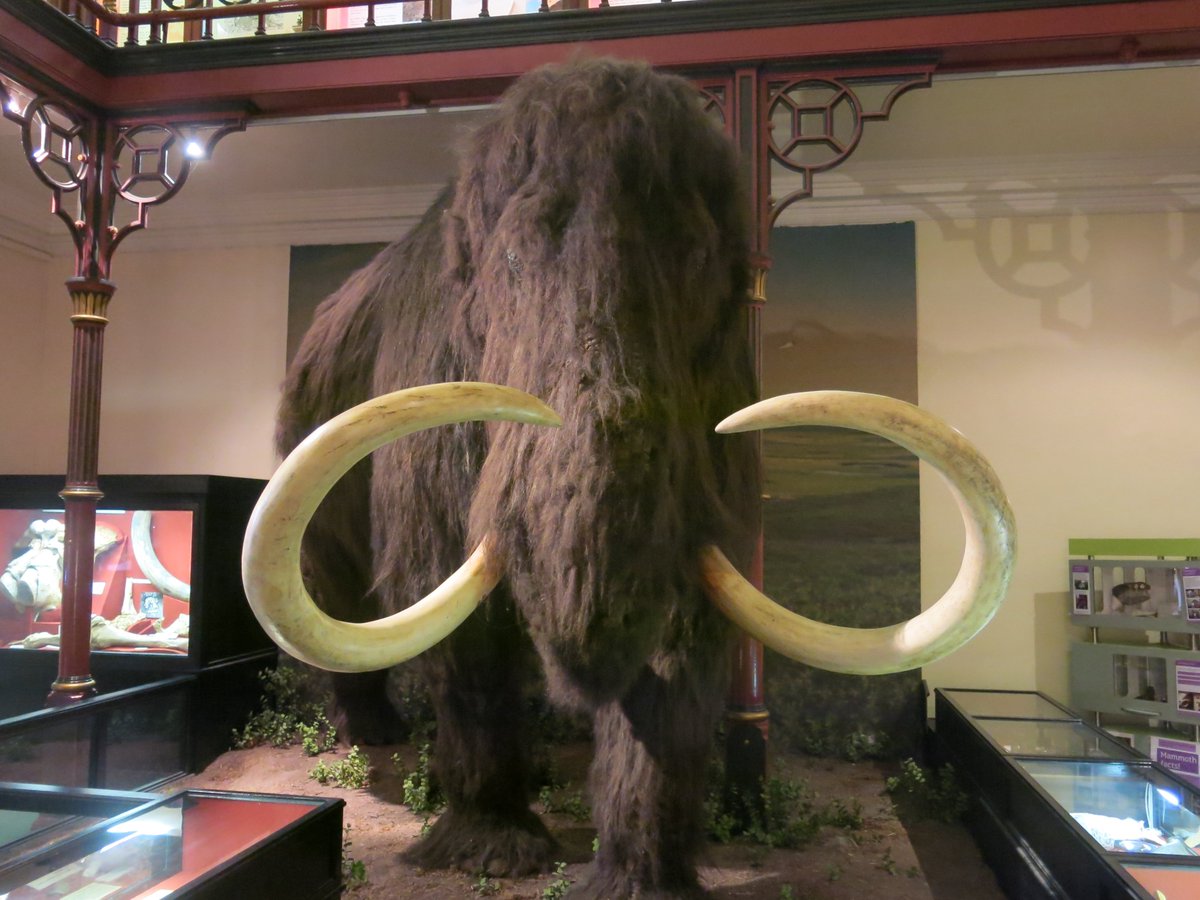 Just a reminder that we re-open next Friday March 1st at 10am &amp; a link to an article on Doggerland in the EDP
edp24.co.uk/news/recalling…