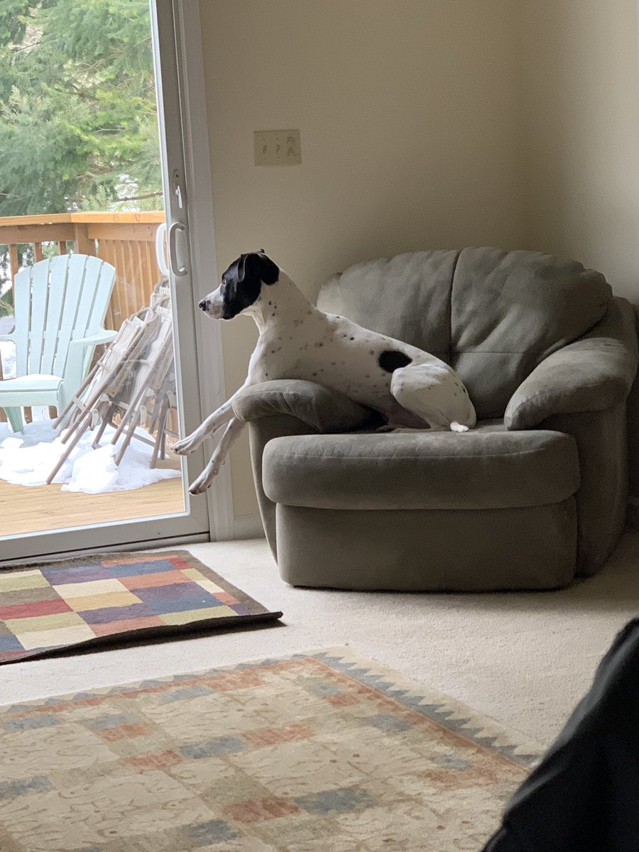 markiewiczb's tweet photo. The king overlooking his outside peasants https://t.co/BAMLNeqLNR