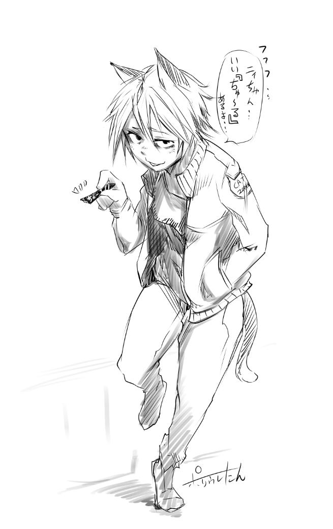 ネコ日だったらしいので
遅ればせながら
「どら猫」 