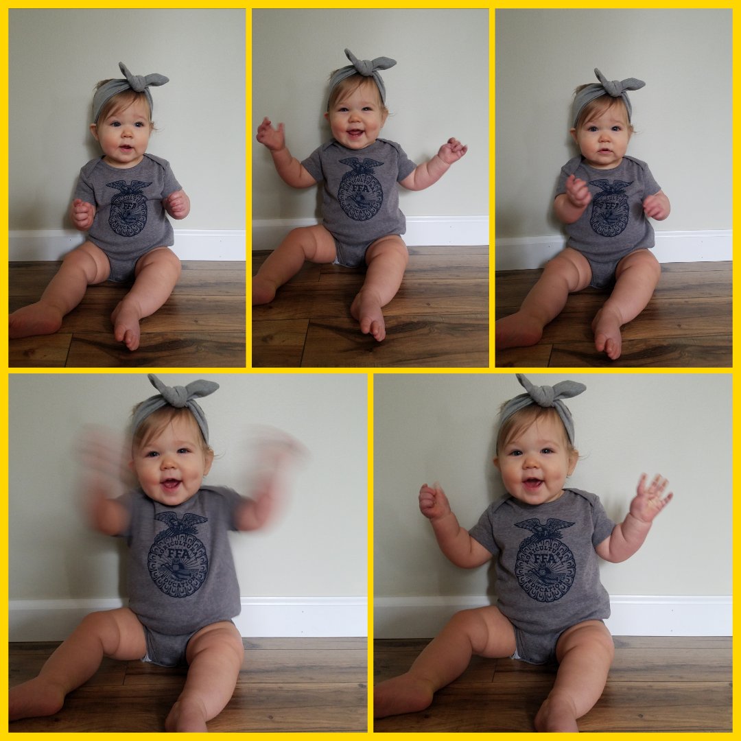 Jesse096230's tweet photo. Happy National FFA Week! 💙💛💙💛 #ffamom #ffaweek #teachag #reaganelizabeth #ffababy https://t.co/uYmjSWFlcw