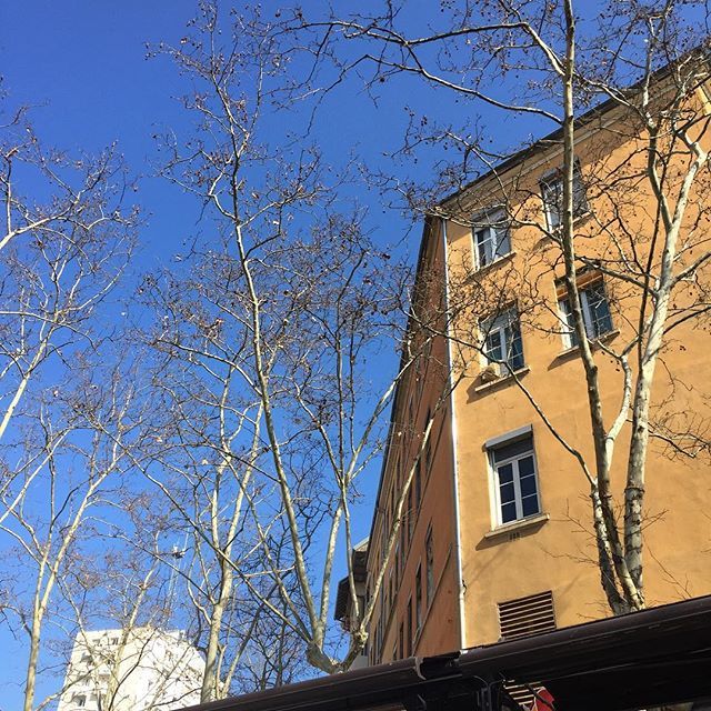 ☀️☀️☀️
#croixrousse #lyon #mangedulyon #onlylyon