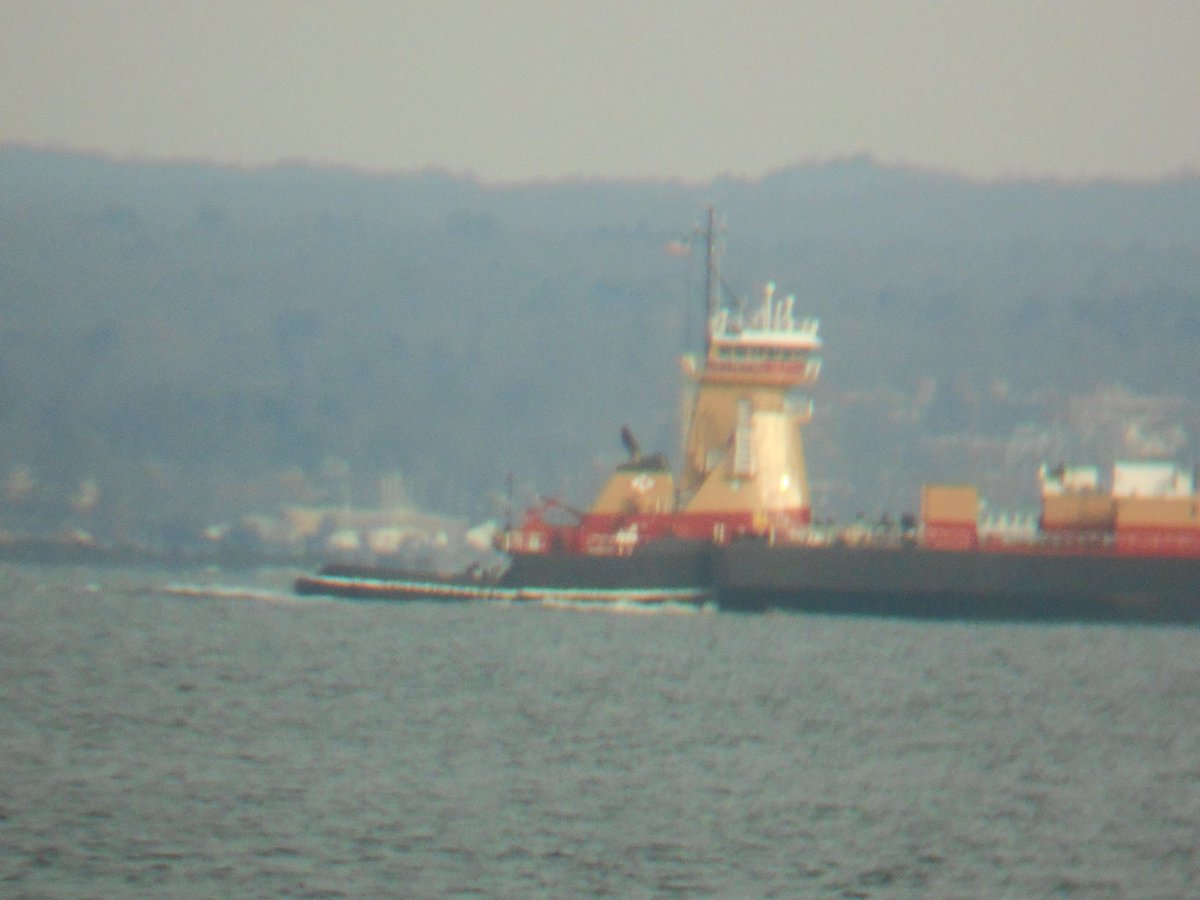 freightboy1's tweet photo. #tugboat BERT #REINAUER pushing laden #fuel #barge upbound towards #NewHaven blt 2018 at #Senesco yard https://t.co/W5vi0JMeSi