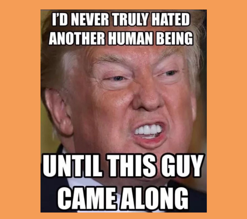 Shoq's tweet photo. And it's being said by tens of millions of American citizens about their President. Let that simmer a bit, @potus.
It's really shame that you're too ignorant, soulless, and vapid to even appreciate just how extraordinary you are. But not in a good way.
#RetweetTruth https://t.co/qI6Ls5ajSc