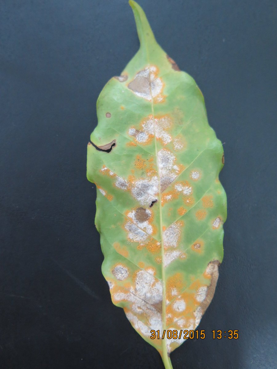 The best way to fight your enemy is to know everything about them. ow.ly/D2Ge30nNIo9