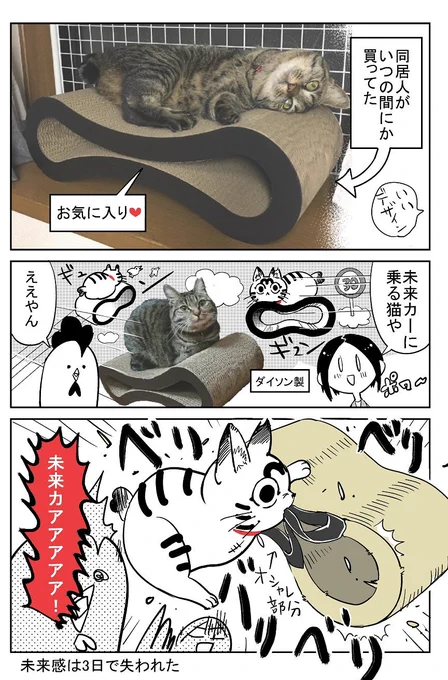 猫飼いました29 