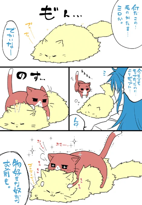 カミュ猫はやばいこれ…とかそんな感じのことをいています=＾・ω・＾= 