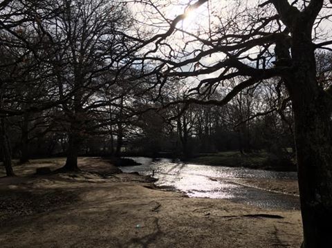 ne_admin's tweet photo. It's really important to take time away from your business, it helps me refocus &amp; be more productive. This week I was treated to a night away in the New Forest, such a beautiful place to relax. #newforest #timeaway #smallbusiness  
 #feelingrefreshed #relax #freelanceadmin https://t.co/ZLNxT3R1B0