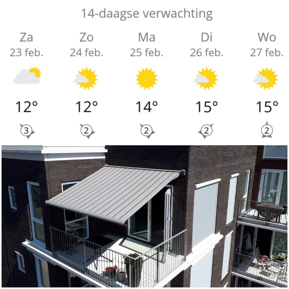 Lente in Februari ! ☀️ fremazonwering.nl #lente #voorjaar #zon #Februari #winter #Frema #zonwering #screens #rolluiken #knikarmschermen etc. #Rhenen #Veenendaal #Ede #Wageningen #Utrecht #Gelderland #Betuwe e.o #happy #weekend !