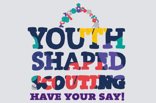 Molly Kent tweet media