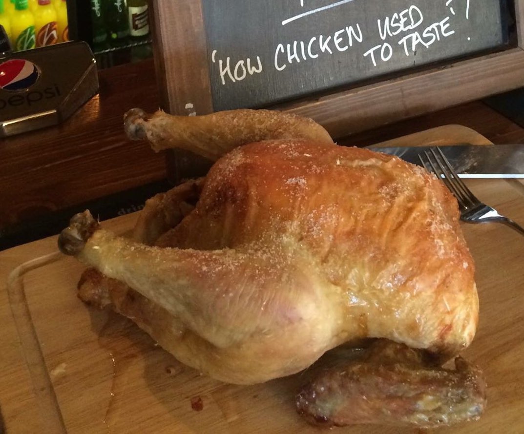 Piddle_Chicken's tweet image. ! FREE CHICKEN TASTING TODAY !

Come along and see us at @LanghamWinery 11am-3pm. Enjoy some tasty chicken, find out more about our chooks then sample the exquisite Langhams English Sparkling Wine 🥂 Even have a stroll around the vineyards.  @DorsetFoodDrink #LoveDorset