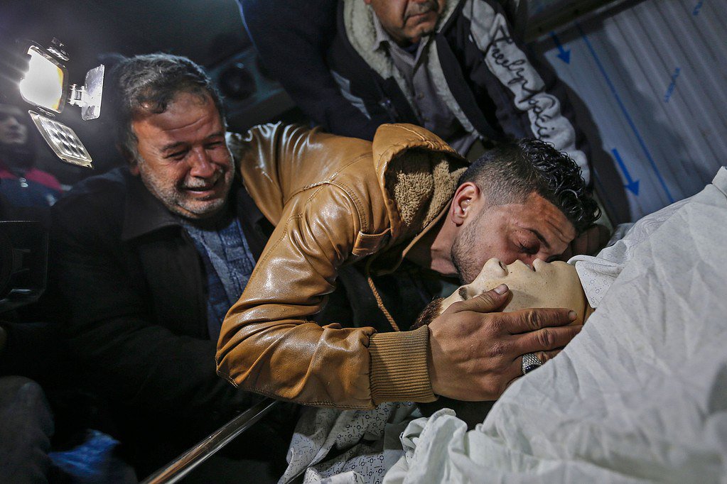 Palestine In All Languages tweet media