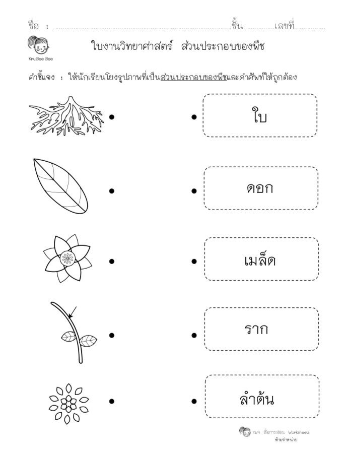 تويتر \ สื่อการสอน worksheets على تويتر: تويتر \ สื่อการสอน Worksheets على تويتر: