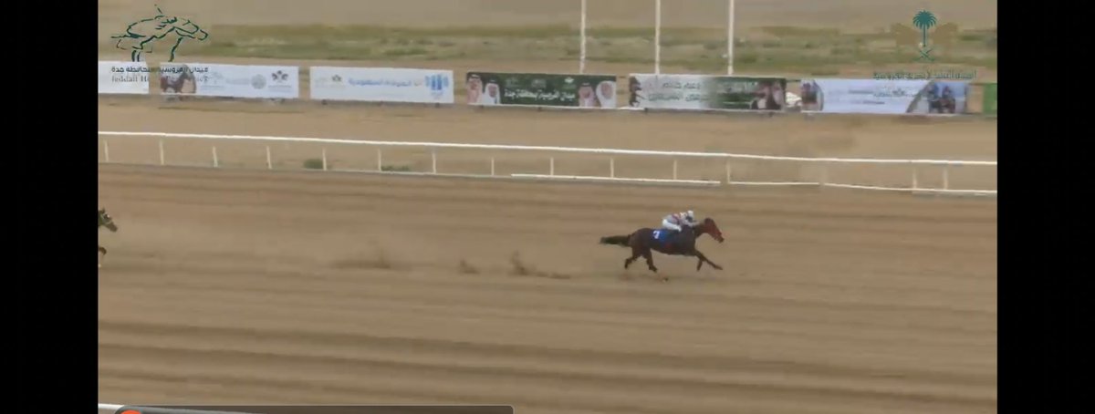 انتاج إسطبلات كندة يضرب بقوة حيث تمكنت الفرس سالينا والمملوكة لإسطبل المنتهى لمالكه عثمان حلمي من الفوز بثاني سباق لها وبفارق كبير عن المركز الثاني بميدان جدة للفروسية. نبارك للمالك وجميع طاقم فريق المنتهى.