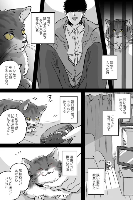 【創作漫画】愛に理由はないから　#猫の日 