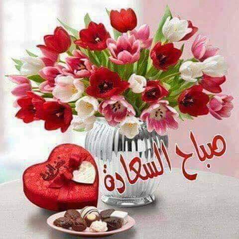 ManalMahmoud7's tweet photo. @Mohamed5322887 ان شاء الله واحلي صباح عليك … محمد 💚 https://t.co/FmXDJgJQm5