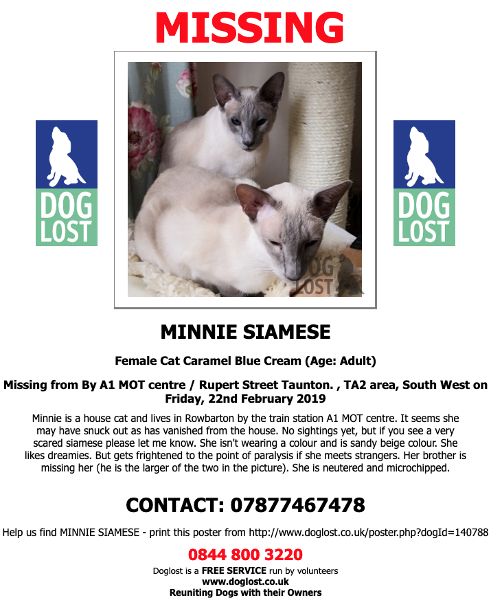 DogLost.co.uk  
#LOST MINNIE #SIAMESE 
Female #Cat
#Taunton  #TA2 
Friday, 22nd February 2019 doglost.co.uk/dog-blog.php?d…  #LostCat    <a href="/VetsGetScanning/">MakeChipsCount to Reunite Pets</a> <a href="/SAMPAuk_/">Stolen&Missing Pets</a>