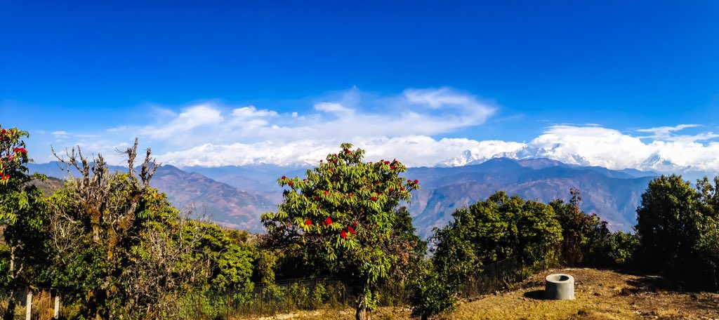 bhupeen's tweet photo. Beautiful Balewa. #VisitNepal2020 https://t.co/sxhSorFPab