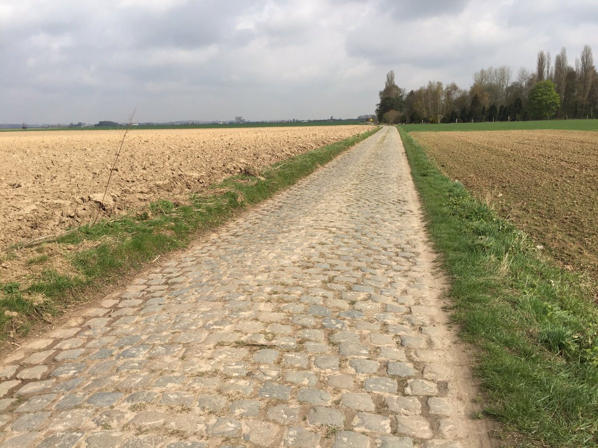 soudalquickstep's tweet photo. One week until the start of the Classics season. https://t.co/4r1NwOZ6zf
