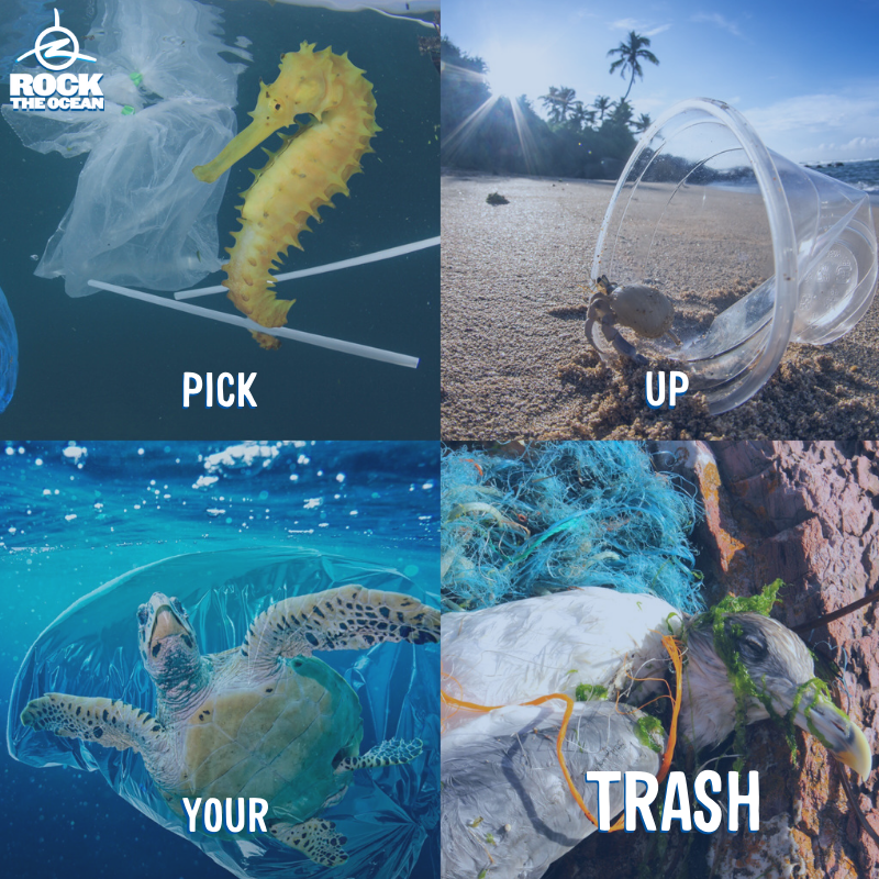 RockTheOcean's tweet photo. Just your daily reminder. #seathedifference #bethedifference https://t.co/LEyb27ZUQ8