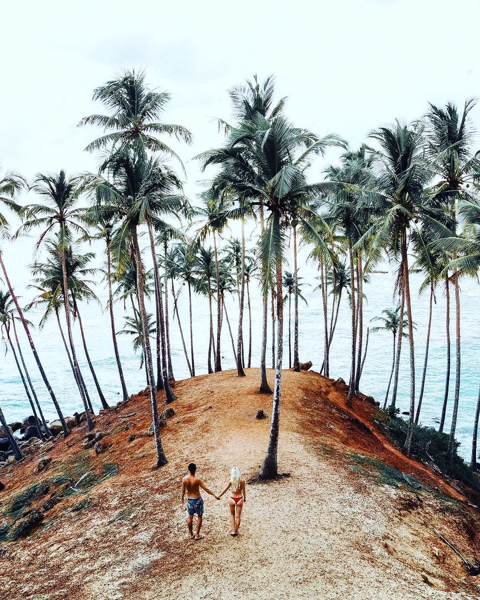 Mirissa - Sri Lanka 🇱🇰 

#SriLanka #AmazingSL #srilankatravel #srilanka🇱🇰 #srilankatourism #srilankan #wonderlustsrilanka #srilankatrip #srilanka_travel #vsltravels #creativetravelcouples #globecouple #blondesandcookies #totallyfree #backpackwithme 
📷 by Two Some Travellers