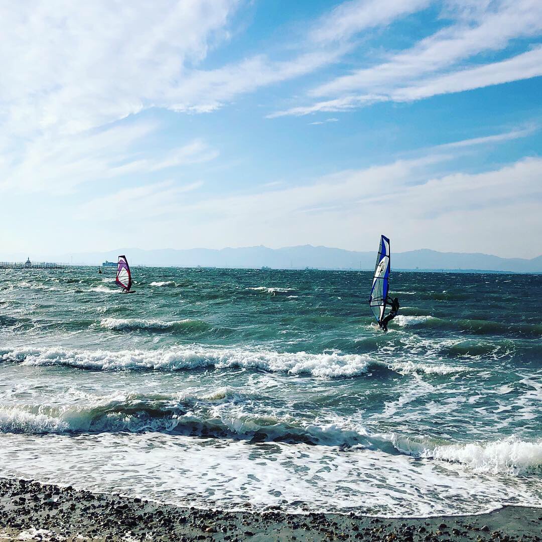 Sugiyama51's tweet photo. 今日も北風が強かった！それでもウインドサーファーに負けじと、海沿いをジョギング。豪華客船が伊勢湾を優雅に航行していました。
#大野海岸 #常滑 #新舞子 #知多 #ウインドサーフィン #豪華客船 #伊勢湾
#windsurfing #windsurfers #onobeach #tokoname #shinmaiko #chita #aichi #japan https://t.co/x3dwEE1vqr