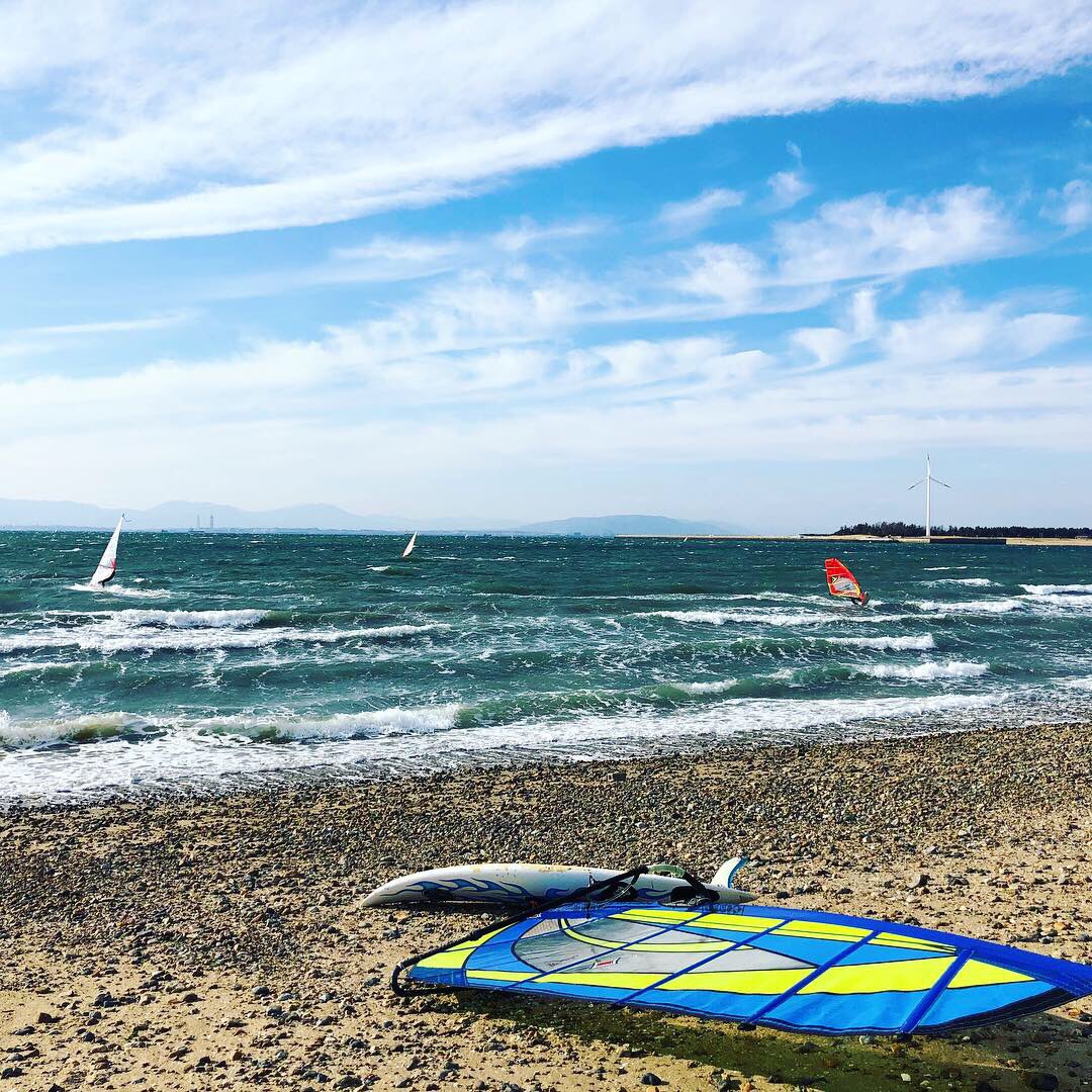 Sugiyama51's tweet photo. 今日も北風が強かった！それでもウインドサーファーに負けじと、海沿いをジョギング。豪華客船が伊勢湾を優雅に航行していました。
#大野海岸 #常滑 #新舞子 #知多 #ウインドサーフィン #豪華客船 #伊勢湾
#windsurfing #windsurfers #onobeach #tokoname #shinmaiko #chita #aichi #japan https://t.co/x3dwEE1vqr