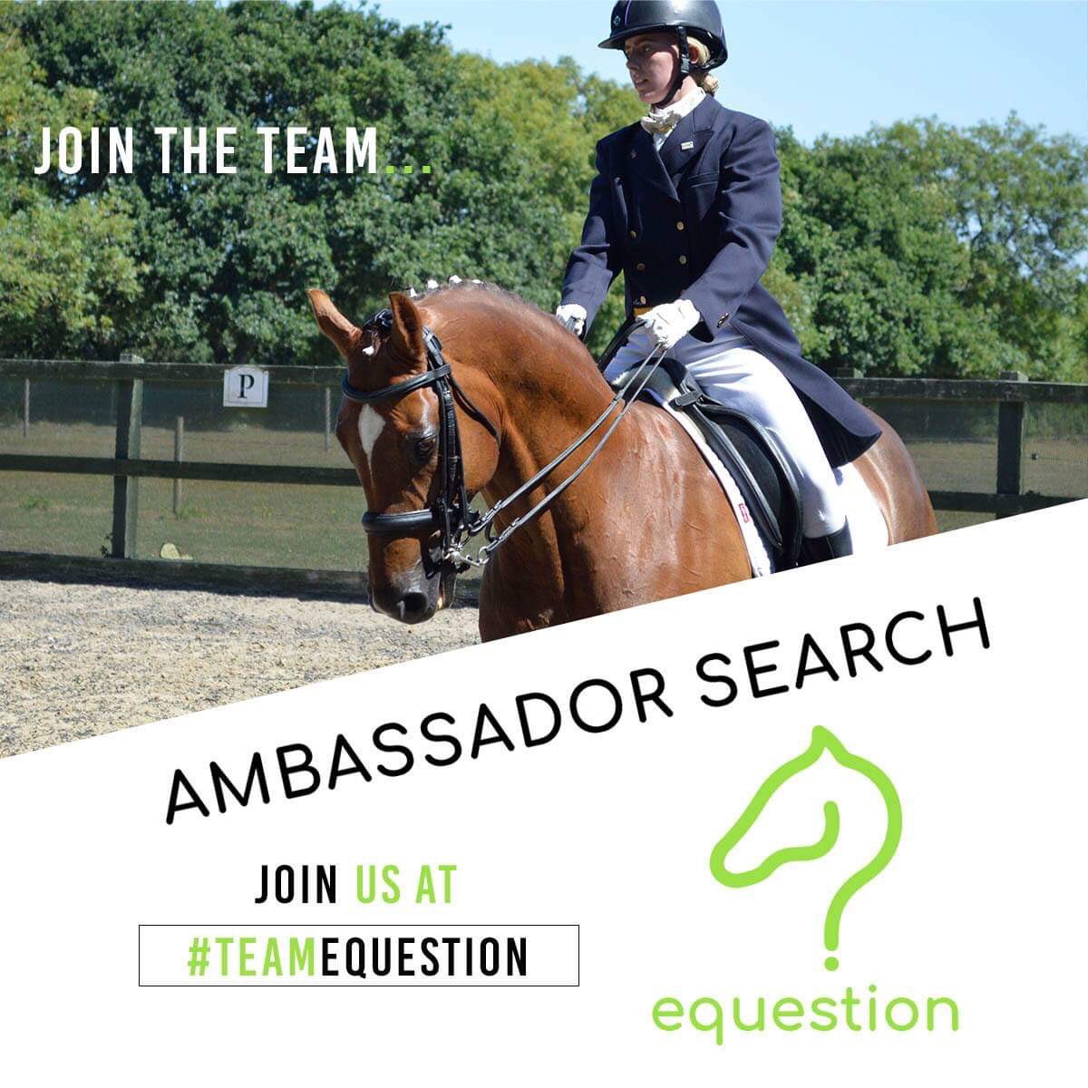 Equestionapp's tweet photo. Did you know we are on the hunt for brand ambassadors? looking for extra applications from professional #riders #ridinginstructor #showjumpers #dressagerider #eventers #equestriancoach #equestrianbloggers #ponyhour #HorseChatHour  #equine find out more: https://t.co/QDwGutDC6P https://t.co/J3fw7KzUob