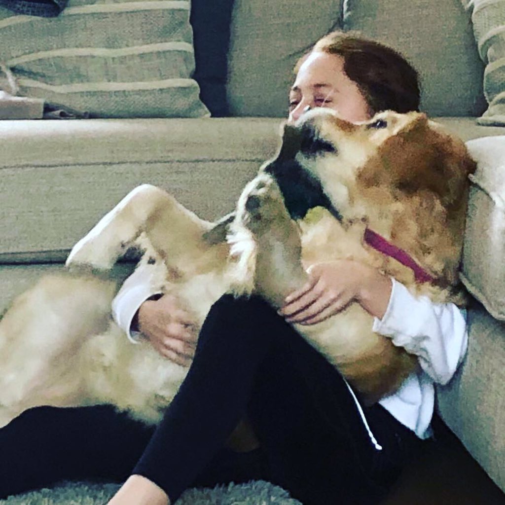 Rudmanbromley's tweet photo. My lovely little lilly♥️ https://t.co/yGMCkB4ZWR