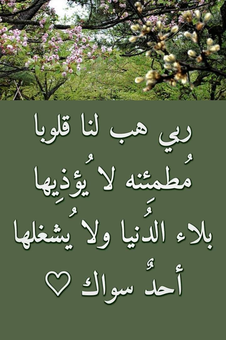 sarasaman8's tweet photo. https://t.co/bxd1iZj6tC