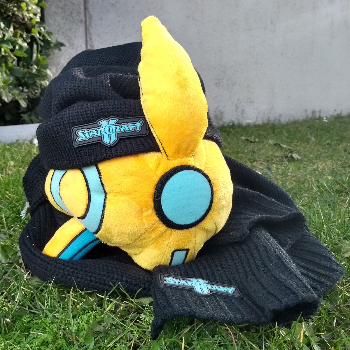 LowkoTV's tweet photo. To celebrate that my Voice Pack is live in StarCraft 2, Blizzard has been generous enough to sponsor a giveaway! 

You can win:
- Probe Plushy
- StarCraft 2 Beanie
- StarCraft 2 Scarf

RT &amp; comment to participate. I will draw a winner in ~24 hours!

https://t.co/J09Ybadd4Q https://t.co/eZxvjWjmOc