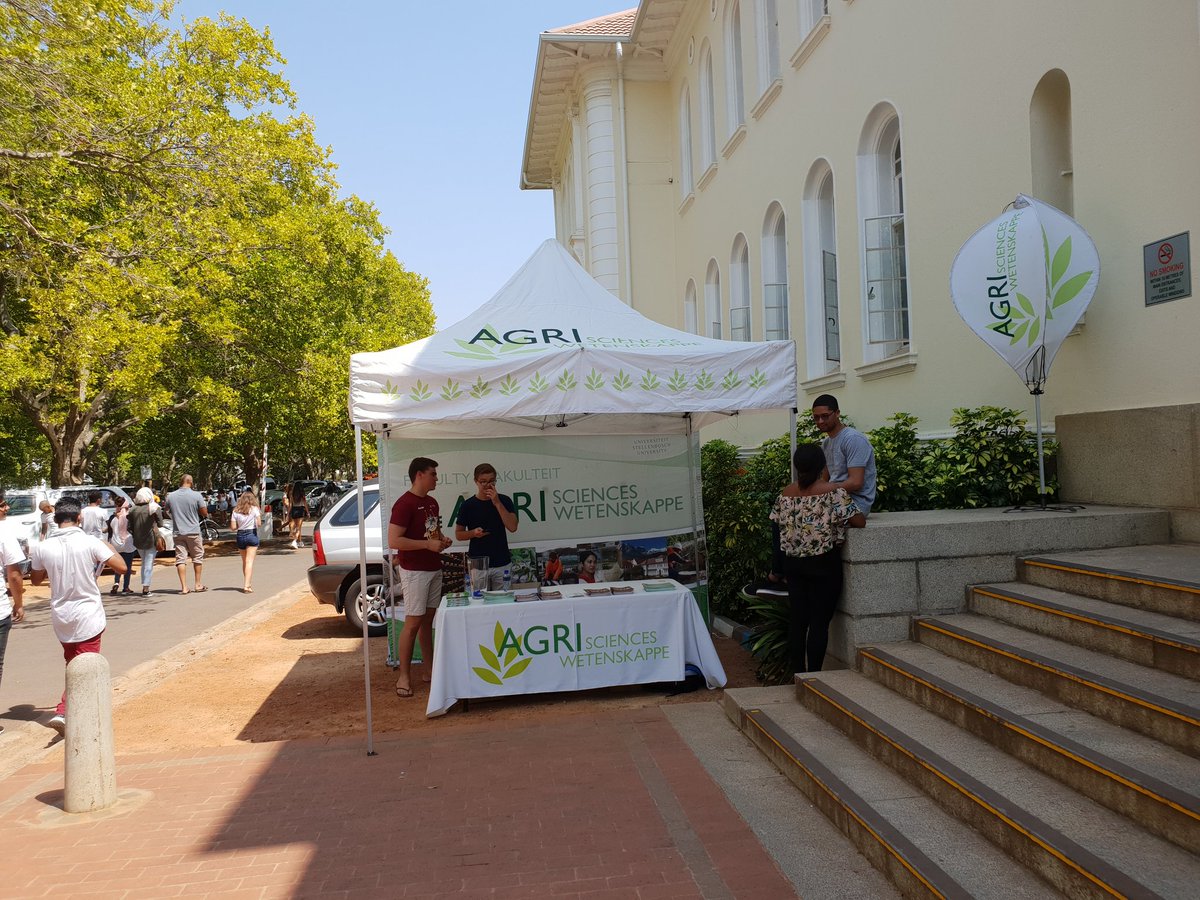 EverGrow Foundation tweet media