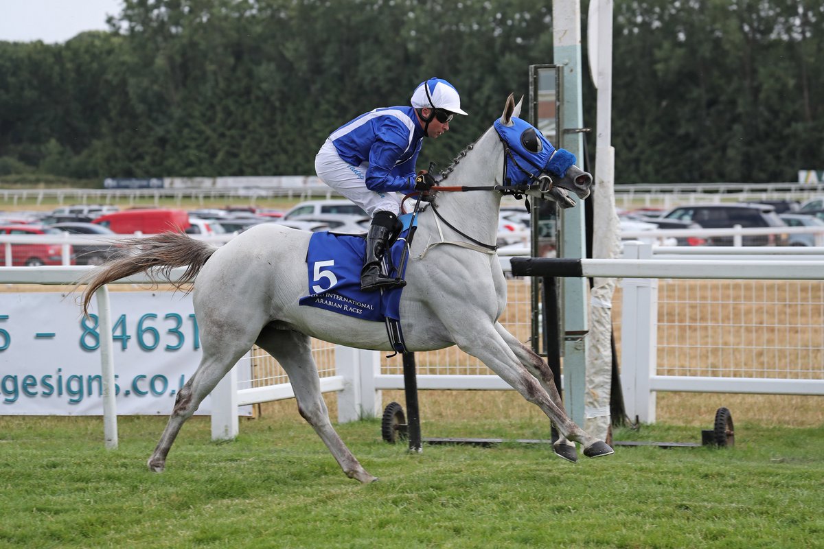 ArabianRH's tweet photo. SHARESA #winner #QatarInternationalCup #Group1PA @Q_REC #Doha for @AlShahaniaStud1 trainer #JulianSmart ridden #TheoBatchelot pictured #winning @DIA_Races #prep @NewburyRacing @ARO_Racing in July 2018 photo @deborahburt1 when ridden by @OsheaTadhg and trained by @CollingtRacing https://t.co/YhZIv3TPzv