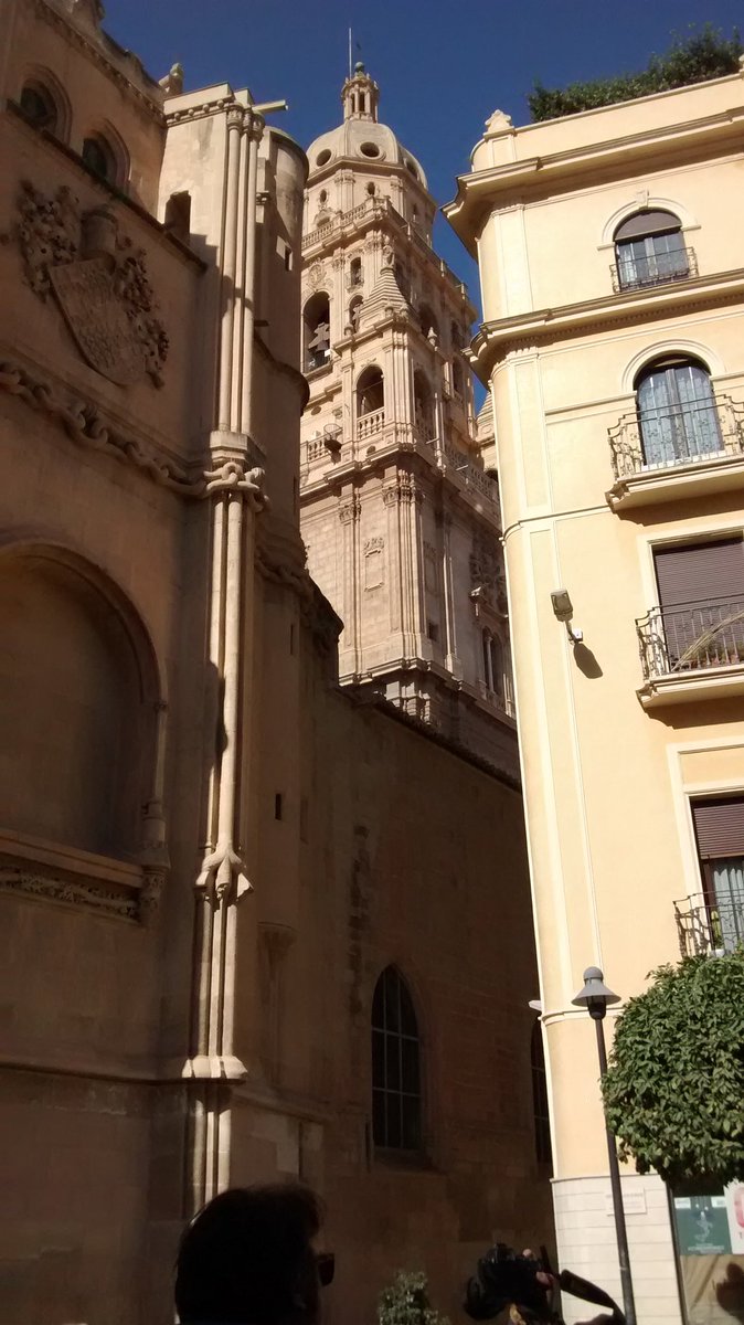 RocioRF2's tweet photo. ¡Qué guapa está #Murcia de sábado! https://t.co/WpY4imwoWj