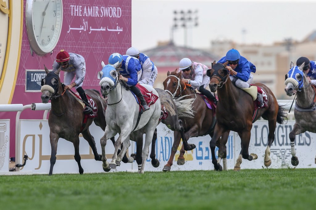 deborahburt1's tweet photo. SHARESA half-sister to #HHAmirSword winner Assy by Burning Sand) #wins #QatarInternationalCup π#Gr1PA @Q_REC for @AlShahaniaStud1 #JulianSmart #TheoBatchelot @TheAJClub @ArabFinishLine @Horsereporter @GCapewell @enricopsi @ARO_Racing @CollingtRacing https://t.co/tkA546zoHT