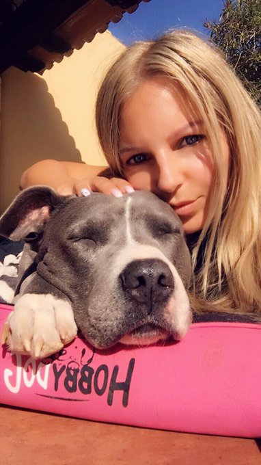 Love my Dog 💕
#juliettasanchez #doglover #amstaff #mallorca https://t.co/qAxevBYFRJ