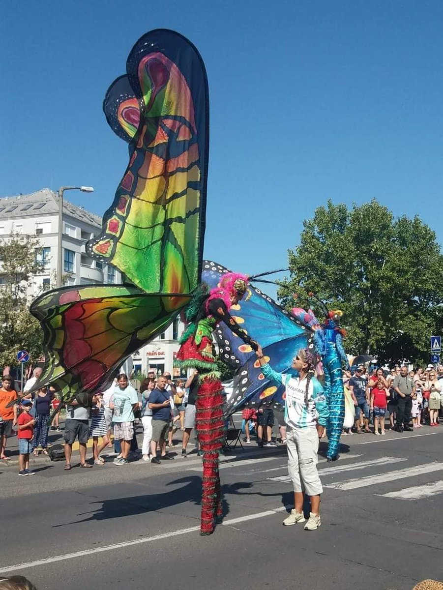 TrekiMaria's tweet image. Stelzen-Art❣😊✌🍀Debrecen Virágkarnevál⚘💗