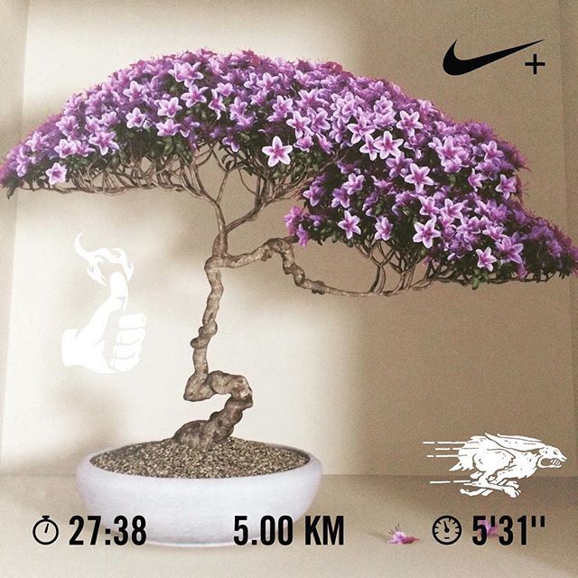 OwenG21's tweet photo. #parkrun done! Best time this year! 💪🏼 #nrc #nike #nikerunning #nikerunclub #nikeplus #run #running #guidedrun #motivation #mullingar #iknowican #icaniwill #runireland #runningireland #instarun #instarunner #runmotivation #ogrunning #runningmotivation #r… https://t.co/x60s8Cv1WK https://t.co/ZdDARizRjo
