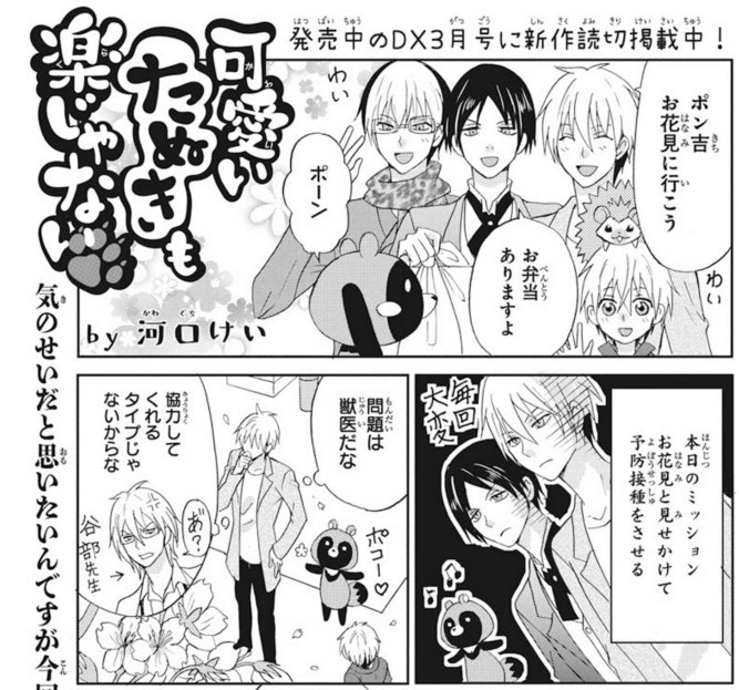 【LaLa4月号発売中!】
#可愛いたぬきも楽じゃない は
一足早いお花見?に!
ヒト率多めでお送りしております。
エリザベスカラーつけてる動物って
可愛いですよね☺️ははは
#マンガPark も本日更新?
はやと誕生日回!
https://t.co/ScZR6nbsrd
あ、発売のDXにも
#河口けい 新作読切掲載中です〜!