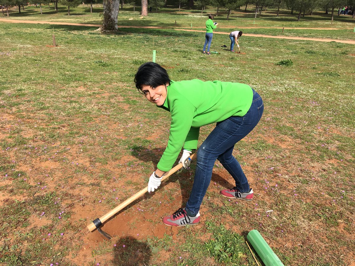 Menchita_87's tweet photo. Nuestra compi Sílvia plantando un árbol! #leroymerlinreforesta #somosleroymerlin https://t.co/WLFGt8umu9