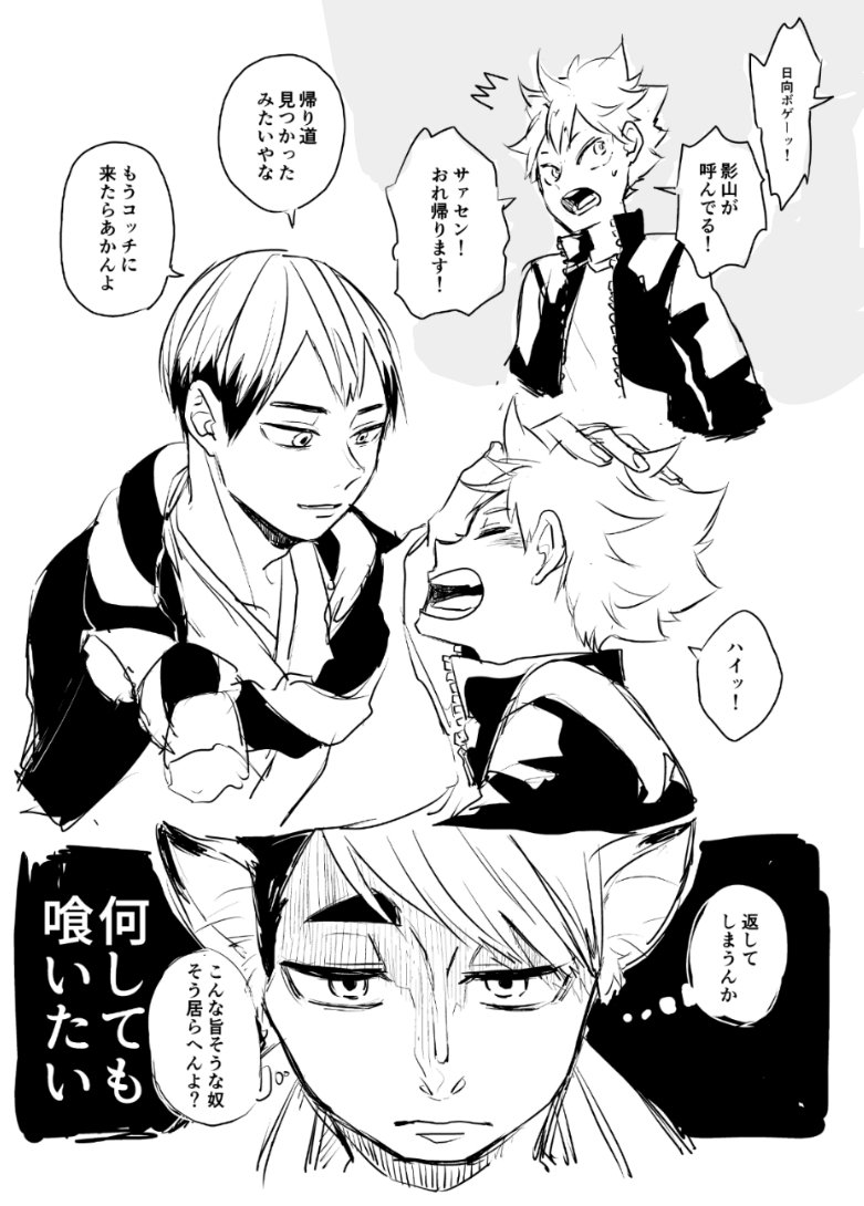 ひとみちゃん(@hitomika_n)が呟いていた神隠し日向by稲荷崎に滾ったので描きました。
若干おさむ贔屓。 