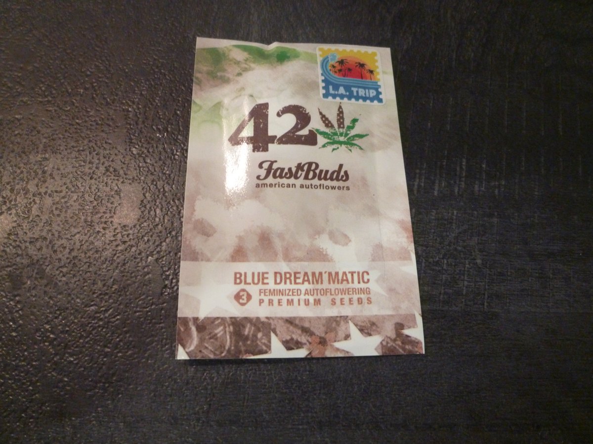 StephandjoG's tweet photo. Thanks to @Fast_Buds for the seeds 👍
One pack of 3 #lemonak and a pack of 3 #bluedreammatic
My first try with auto 🥳
#fastbuds #autoflowering #autoflo https://t.co/5j2XCYsIZ4
