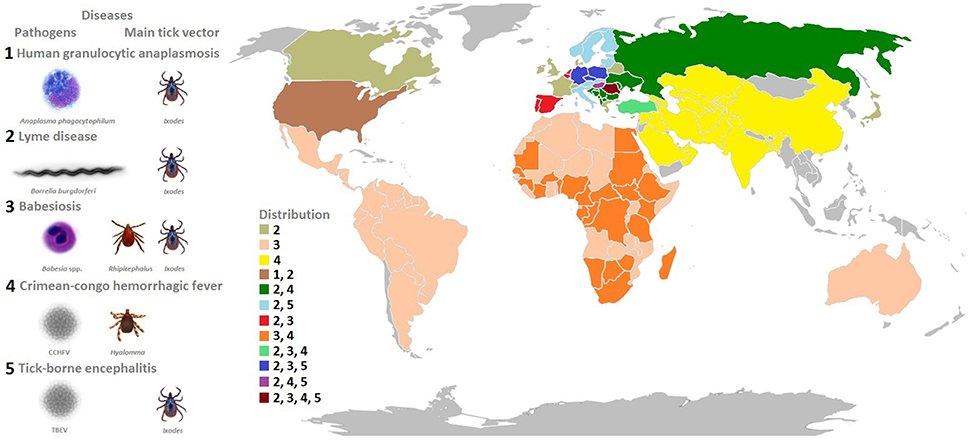 элементарная математика