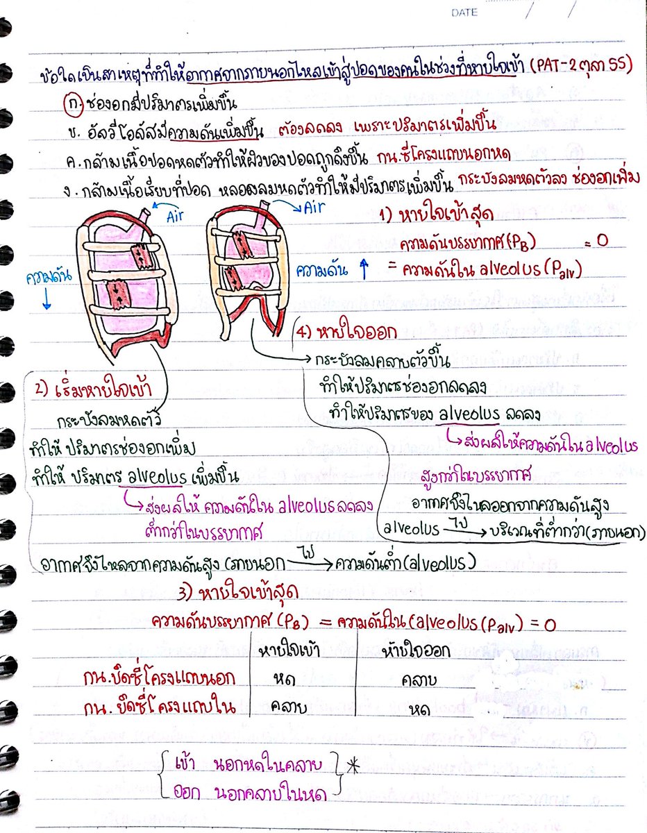 Biofight1's tweet photo. ระบบหมุนเวียนเลือดปีที่แล้วไม่ออก
คาดว่าปีนี้น่าจะออก อ่านๆไปหน่อยนะ

โน๊ตสมัยพระเจ้าเหา😂
#dek62​ #gatpat #PAT2 https://t.co/vf7ygyN0AC