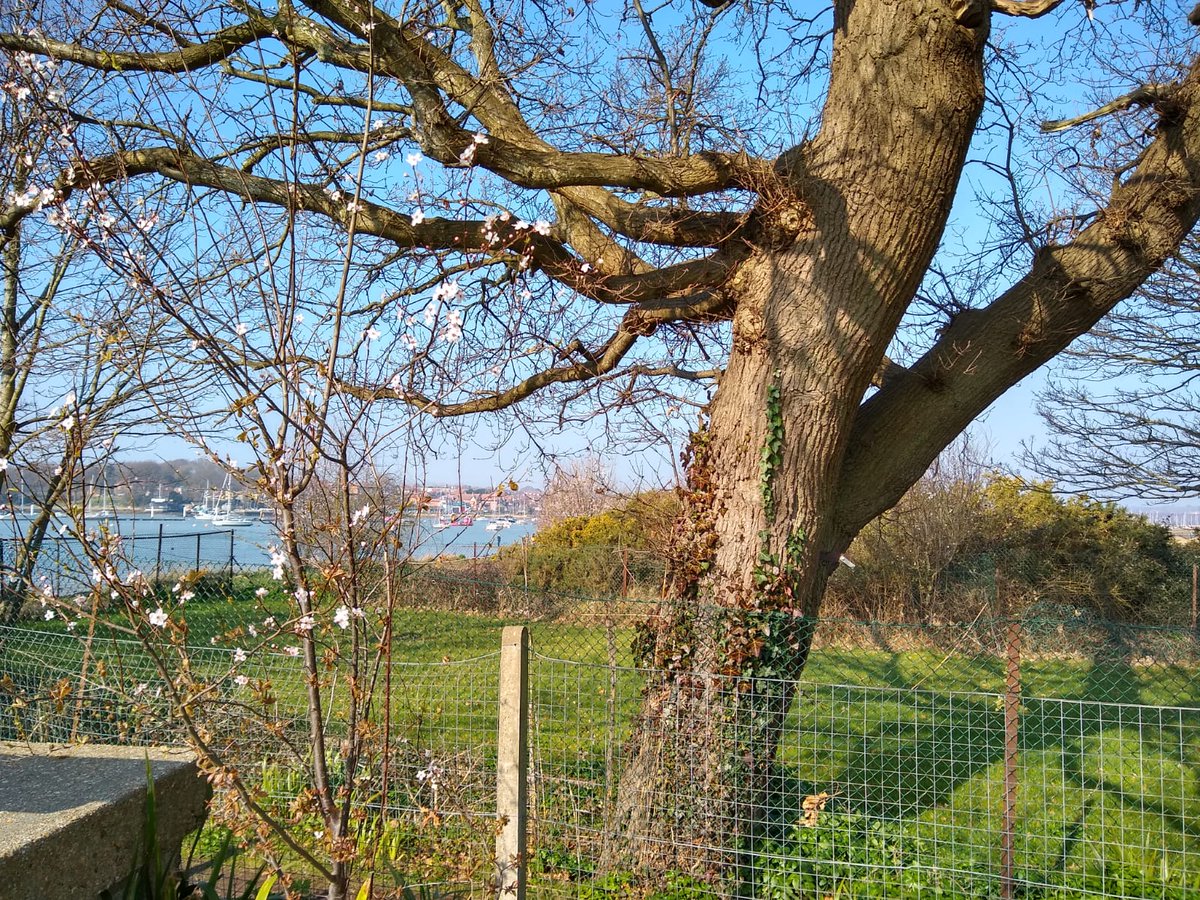 BirdAwareSolent's tweet photo. Spring is in the air! 🌱🦆🌞Our rangers are out and about today on the Solent Coast and have been enjoying the sights, sounds and smells of spring! Have you noticed the change in season too?  #springtime #solentcoast #birdaware https://t.co/xlw4tBDiL8