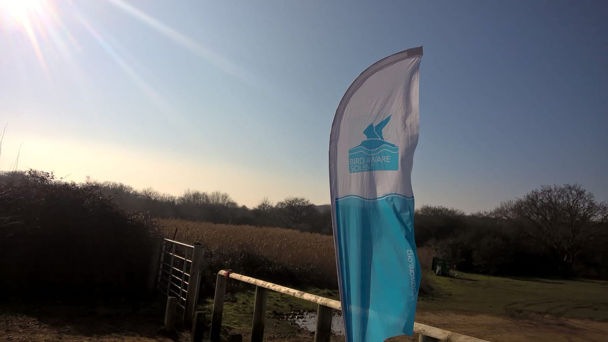 BirdAwareSolent's tweet photo. Spring is in the air! 🌱🦆🌞Our rangers are out and about today on the Solent Coast and have been enjoying the sights, sounds and smells of spring! Have you noticed the change in season too?  #springtime #solentcoast #birdaware https://t.co/xlw4tBDiL8