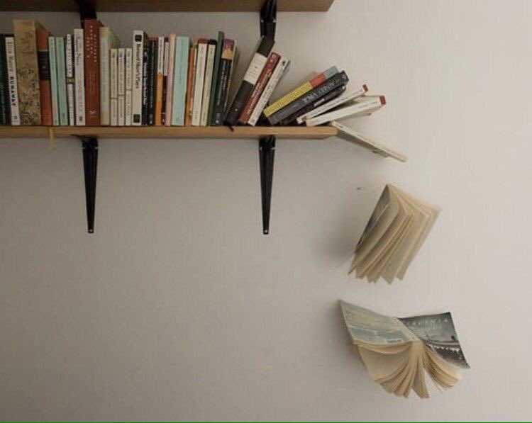 ربما كانوا مُحقين حين وضعوا الحُب في الكتب ، ربما لم يكن ليعيش في أي مكانٍ آخر