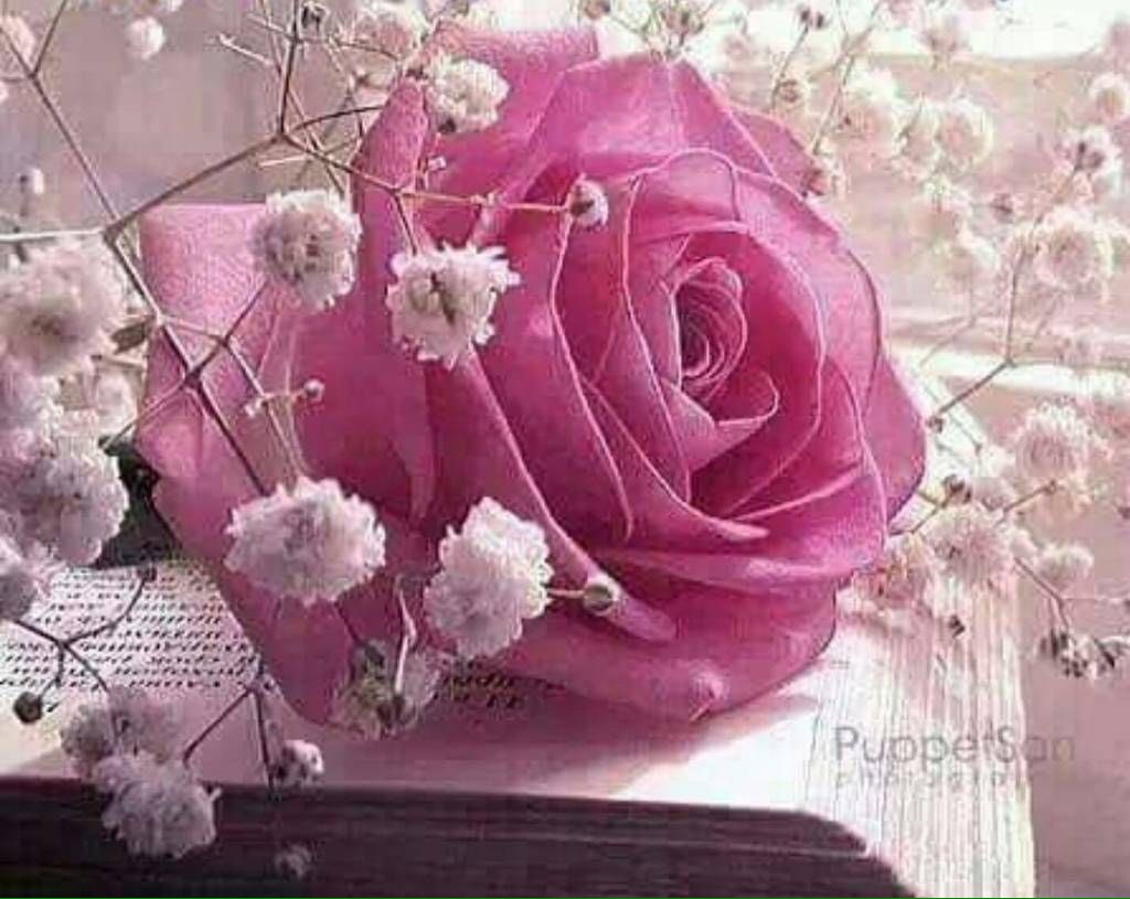 الحذر لا يكفي؛ تتوجب المُغادرة
الكلامْ لا يُشبِع؛ يتوجب الصّمت 
العطاء لا ينفع؛ يستلزم الصبر 
الحياة لا تعطي؛ الرضَا ثمين .