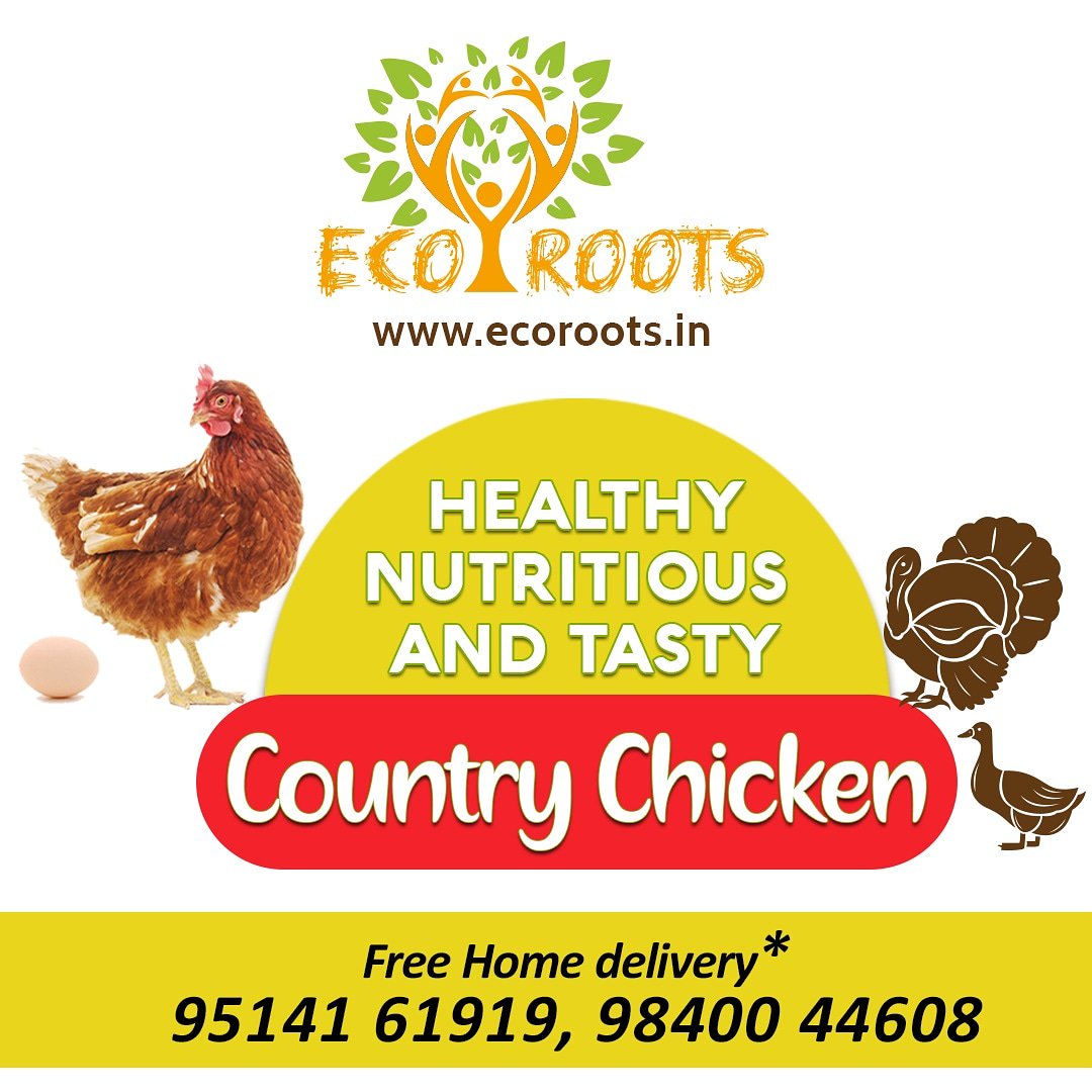 Naturally Grown, #Healthy, #Fresh &amp; #Nutritious #Country #Chicken, #Turkey, #Duck on Your Way..! #Call or WhatsApp now for free home delivery within 2 hours at your doorstep in #Chennai.

Call 9514161919, 9840044608
ecoroots.in